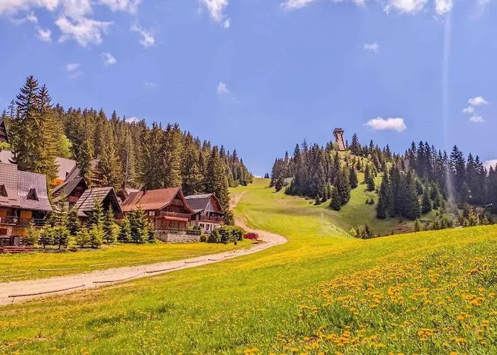 Alpin Apartments Vlasic